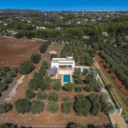 Quinta Strofa By Perle Di Puglia *